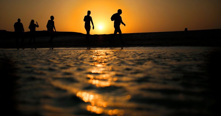6 dead after tourist submarine sinks off Egypt’s coast – National